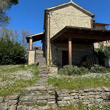 Hébergement de vacances L'oliveto House Monte Santa Maria Tiberina