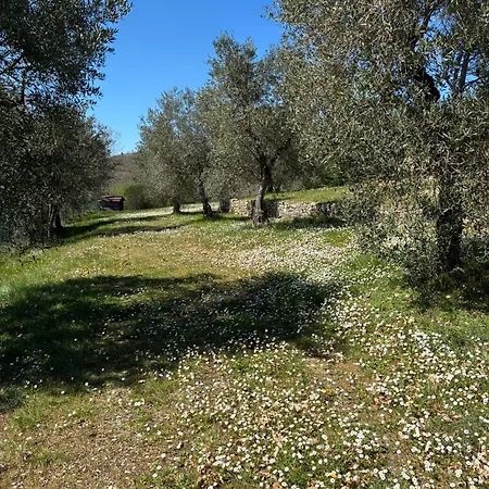 L'oliveto House Hébergement de vacances